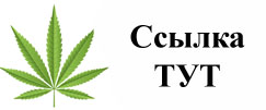 Купить наркотики в Михайловске